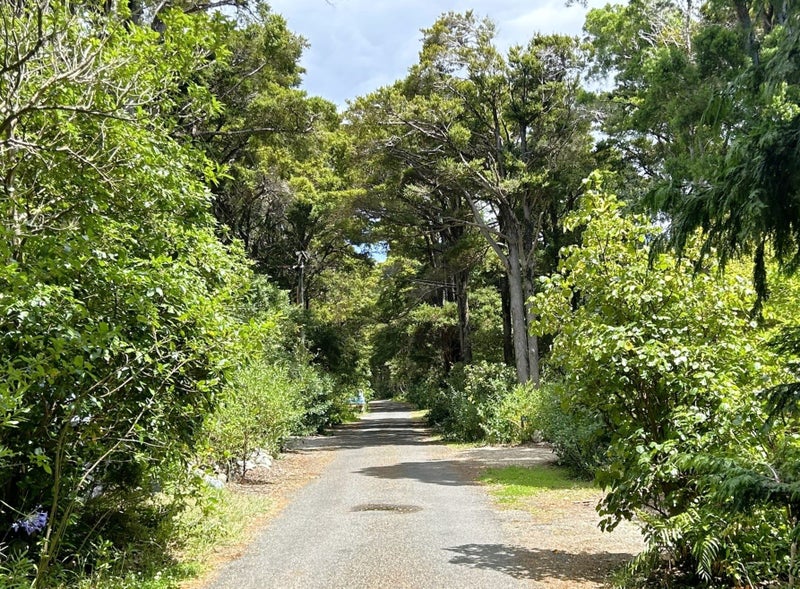 56 TOTARA AVE, COLLINGWOOD - Carousel 24