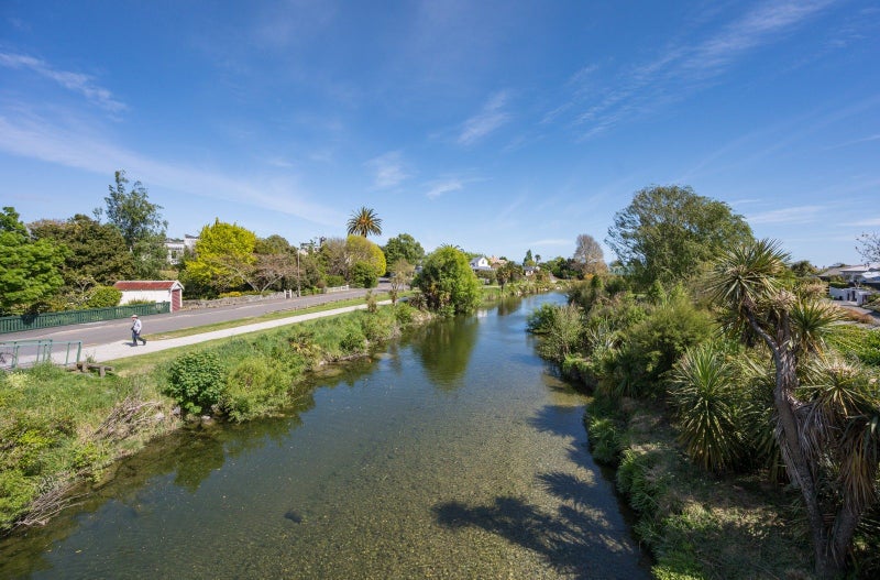 65 Halifax Street East, The Wood, Nelson - Carousel 43