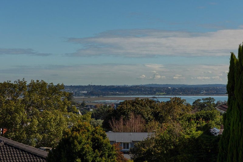 21 La Veta Avenue, Mount Albert, Auckland - Carousel 2