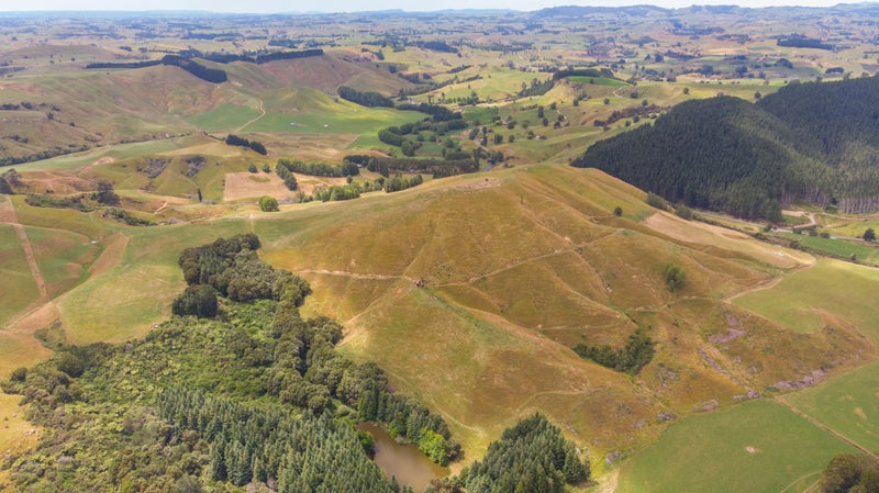 287 Newman Road, Parawera, Te Awamutu - Carousel 1