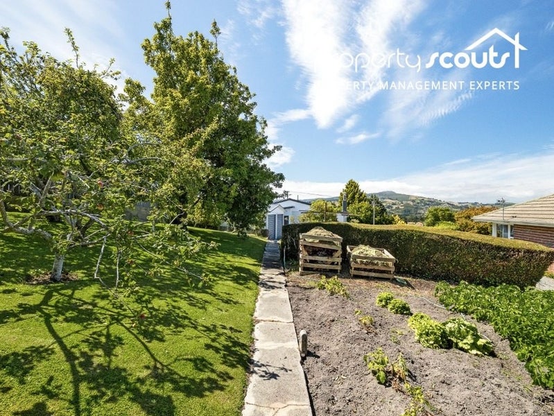 99 Shetland Street, Wakari, Dunedin - Carousel 17