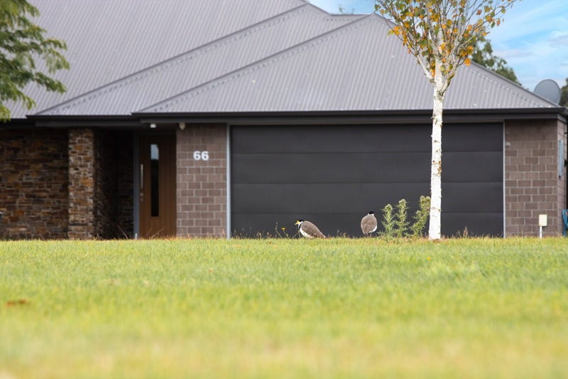 66 Preston Avenue, West Melton, West Melton - Carousel 26