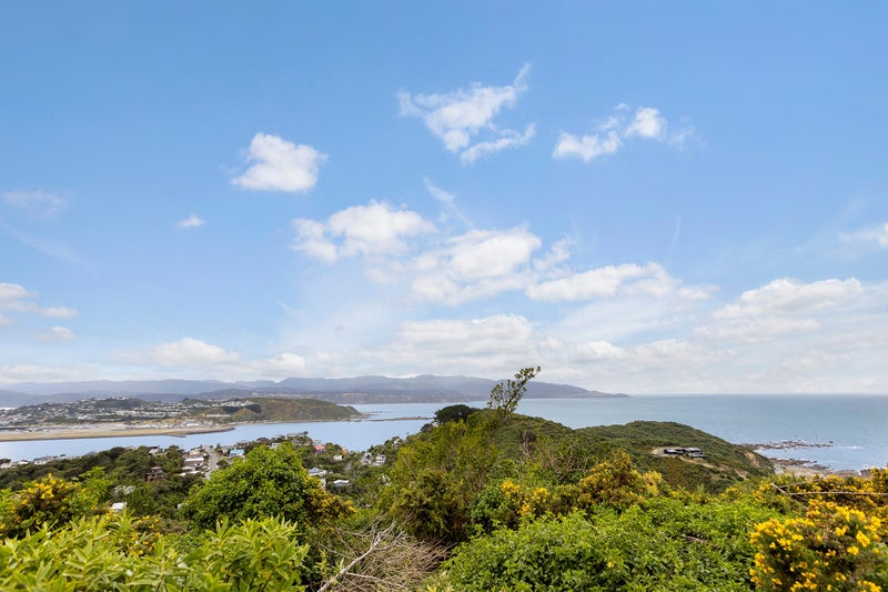 119 Buckley Road, Southgate, Wellington - Carousel 2