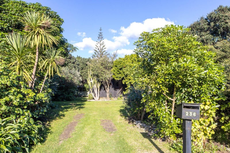 236 Bethells Road, Henderson - Carousel 22