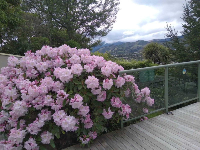 179A Princes Drive, Britannia Heights, Nelson - Carousel 24