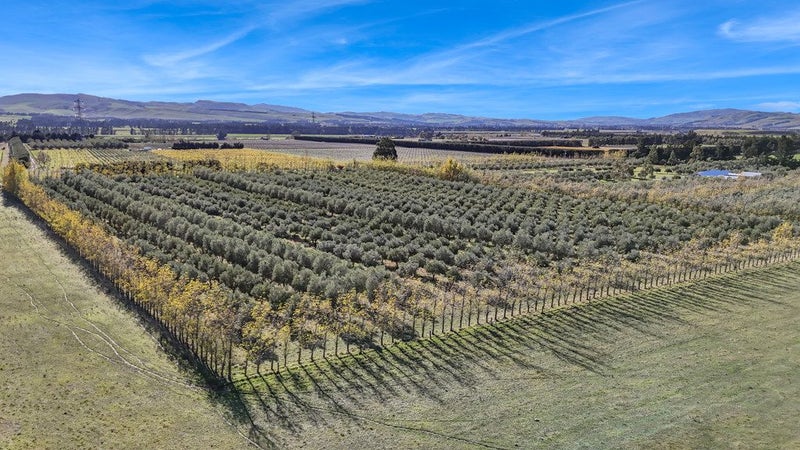 301 Georges Road, Glasnevin, Amberley - Carousel 16