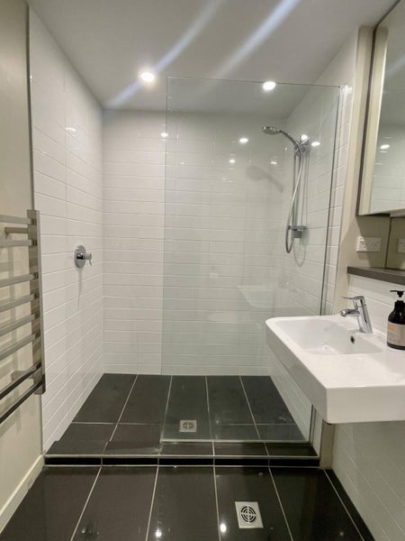 9C/30 Taranaki St, Te Aro, Wellington, Wellington - Carousel 14