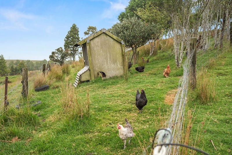 747 Three Mile Bush Road, Ruatangata West, Whangārei - Carousel 33
