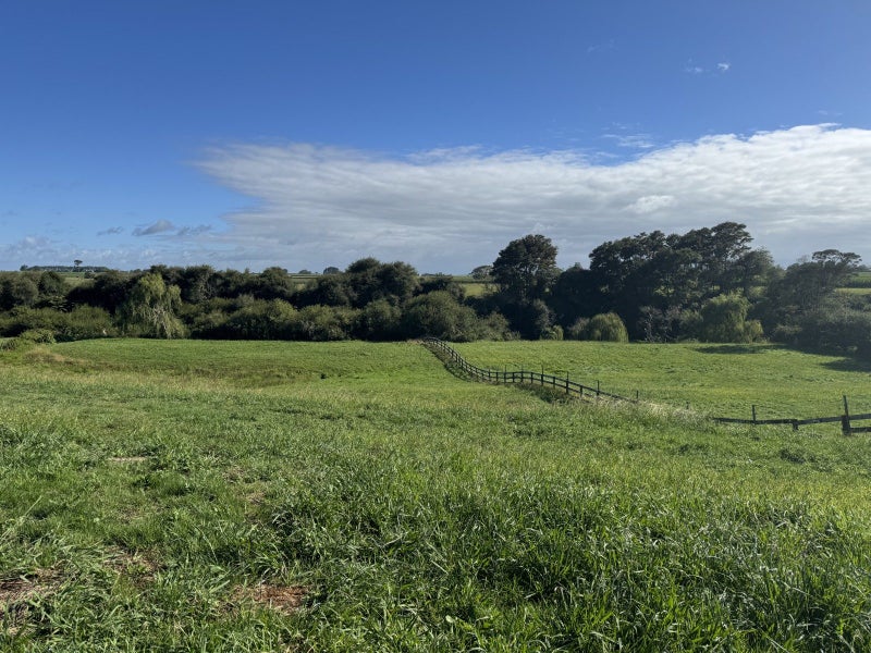 337 Kiwitahi Railway Road, Morrinsville, Morrinsville - Carousel 37