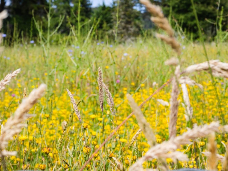 164B Kaniere Road, Kaniere, Hokitika - Carousel 34