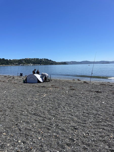 39 Marine Parade, Seatoun, Wellington - Carousel 23