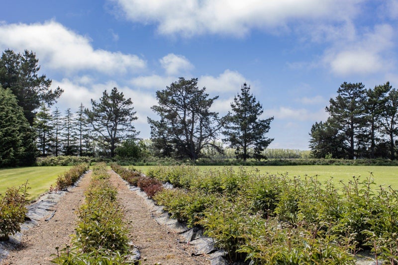 41 Ashworths Road, Ohoka, Kaiapoi - Carousel 39