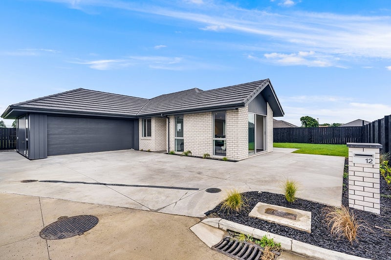 12 Crawford Lane, Morrinsville, Morrinsville - Carousel 2