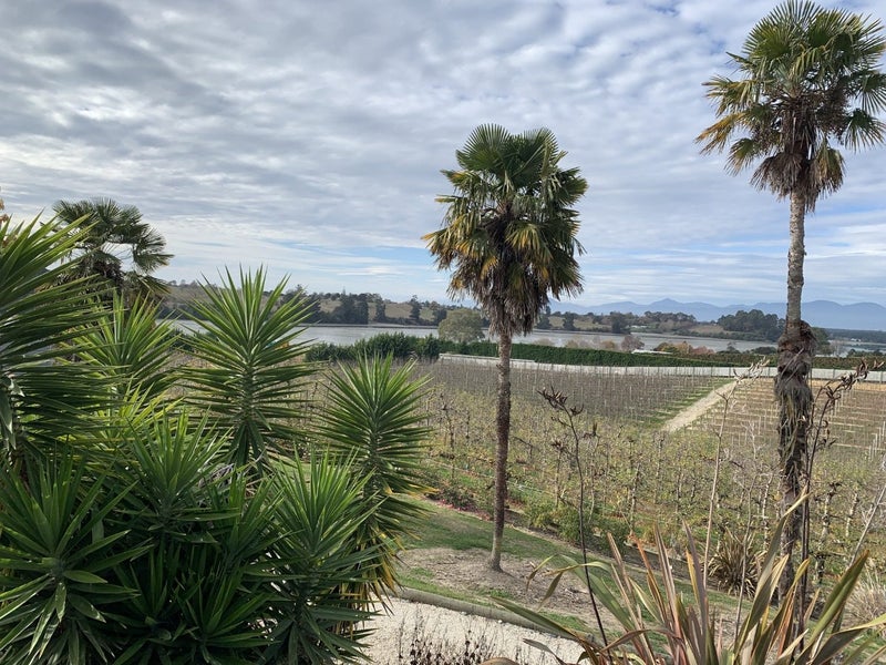 3 Nile Road, Mahana, Upper Moutere - Carousel 18