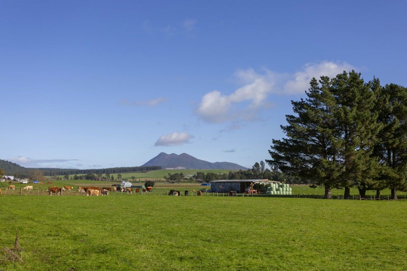 180 White Road, Reporoa - Carousel 30