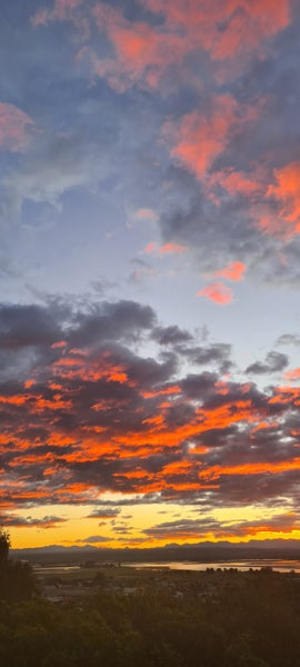 66 Tosswill Road, Tahunanui, Nelson - Carousel 21