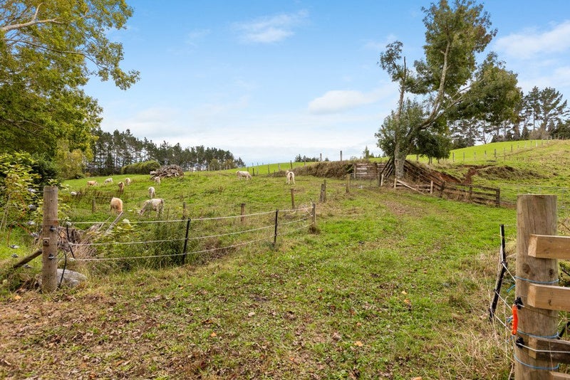 32 Davis Road, Waiongana, Inglewood - Carousel 37