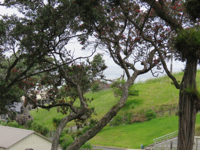 7 Ongutukura Way, Ōakura, Hikurangi - Carousel 2