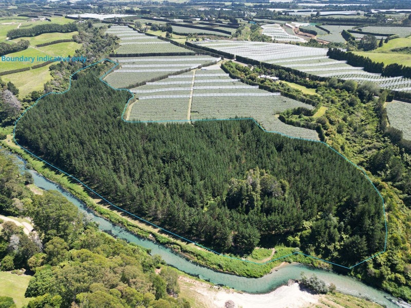 0 Casuarina Drive, Rangiuru, Te Puke - Carousel 1