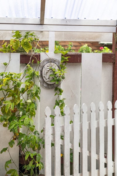 29 Stewart Street, Whakatane, Whakatane - Carousel 20