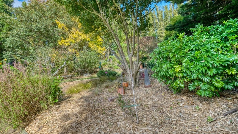2025 Far North Road, Waiharara, Kaitaia - Carousel 50