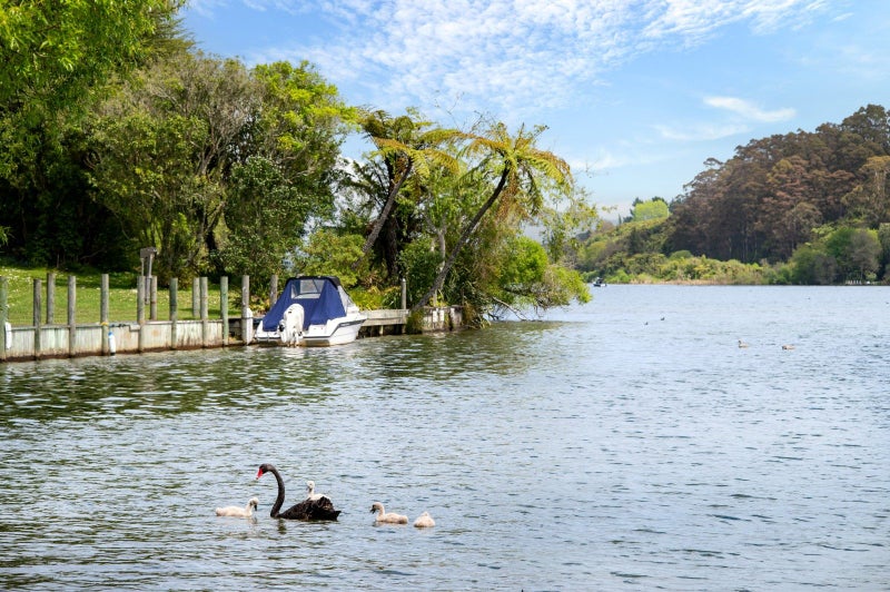 36 Te Akau Road, OKERE FALLS, ROTORUA - Carousel 20