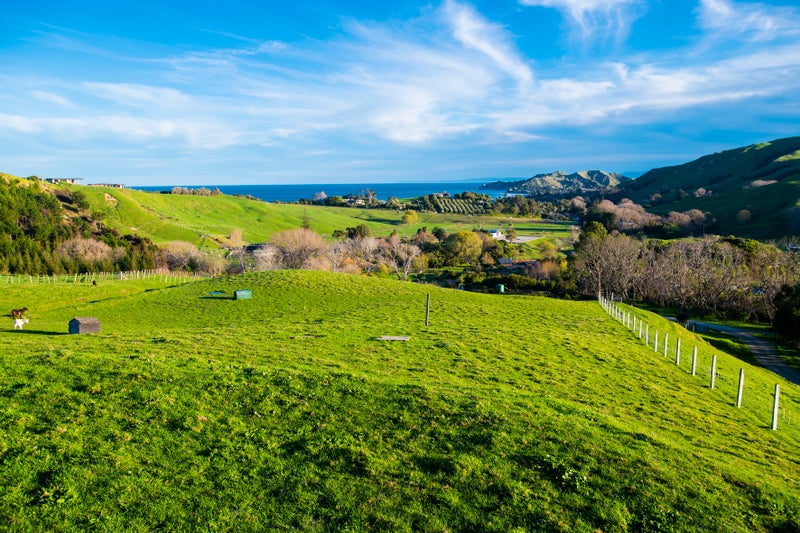 51 Scarlys Way, Okitu, Gisborne - Carousel 1