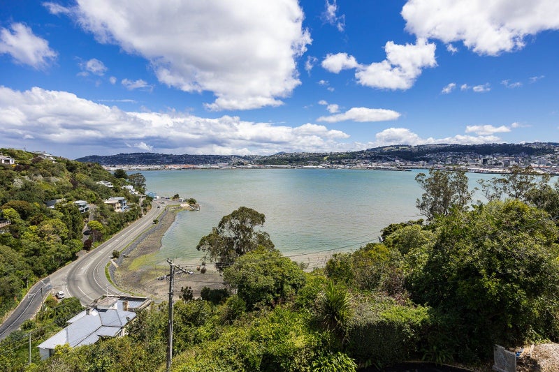 9A Glengyle Street, Vauxhall, Dunedin - Carousel 16