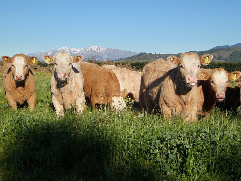 48 Gardiners Road, Starvation Hill, Oxford - Carousel 21