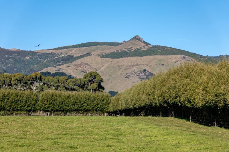 Lot 1, Old Tai Tapu Road, Tai Tapu, Selwyn, Canterbury - Carousel 9