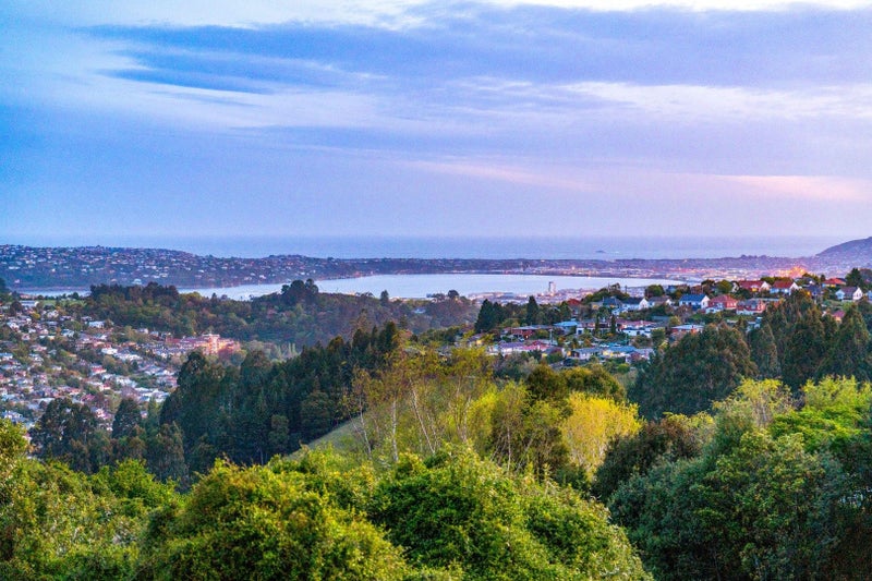 8 Watkin Street, Pine Hill, Dunedin - Carousel 2
