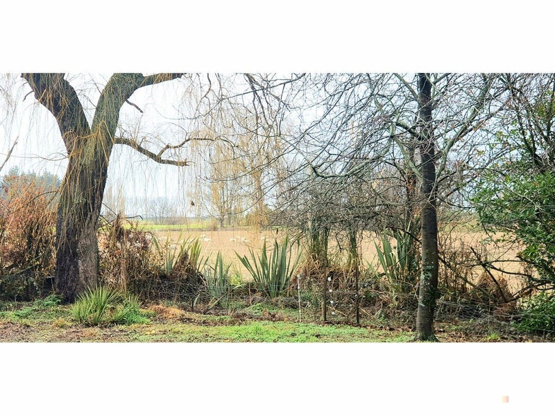 Property Valuation for 297 Milford Clandeboye Road, Temuka, Timaru