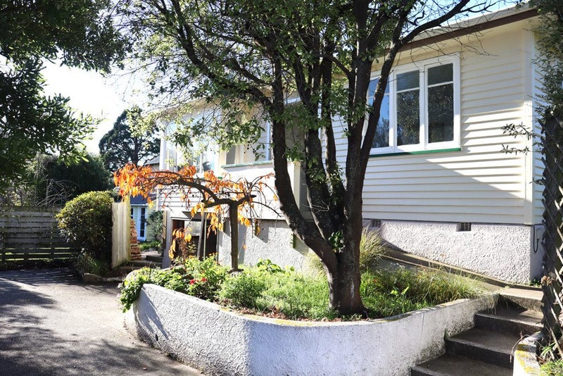 50 Tamar Street, South Hill, Oamaru - Carousel 21