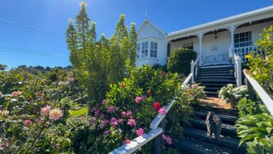 130 Bella Street, Thames - Carousel 1