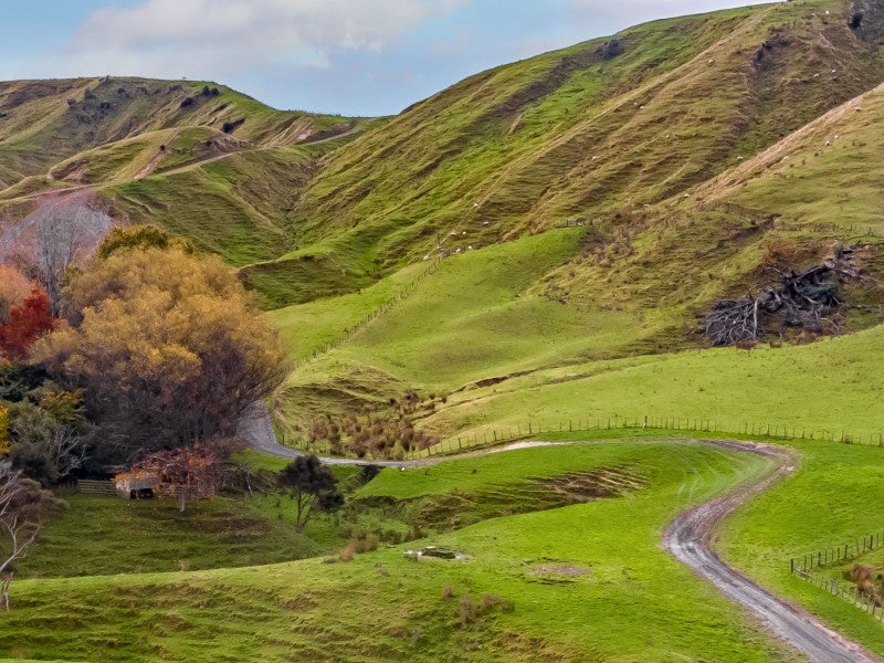 14666 Route 52, Eketahuna - Carousel 21
