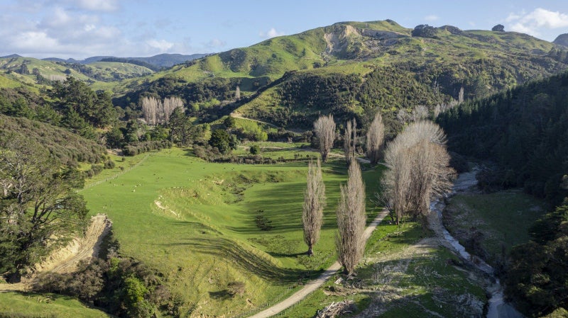 0 Route 52, Alfredton, Eketahuna - Carousel 1