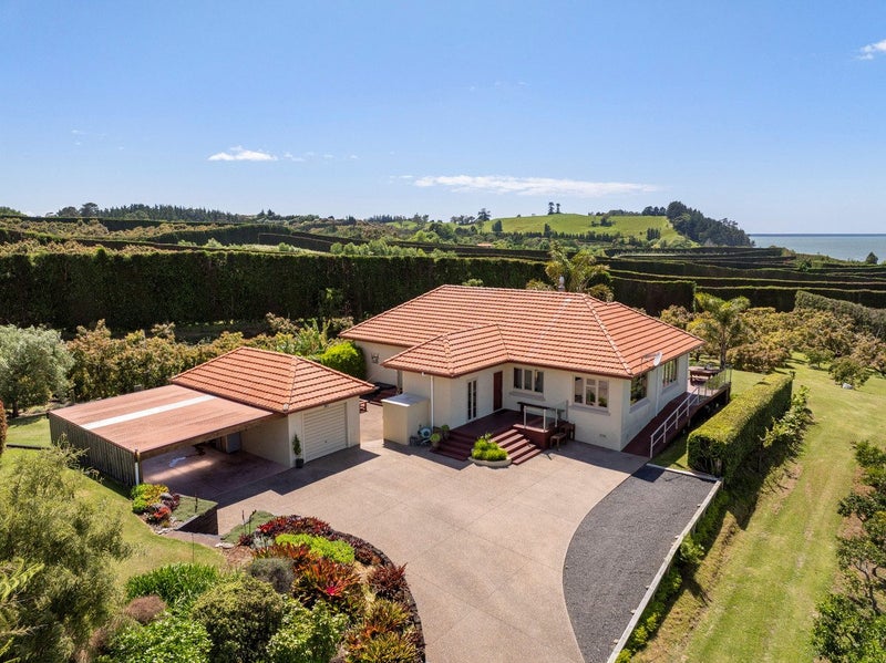 11B Stokes Road, Katikati - Carousel 2