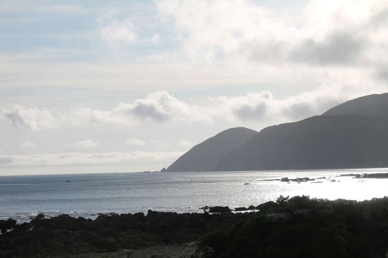 442 The Esplanade, Island Bay, Wellington - Carousel 15