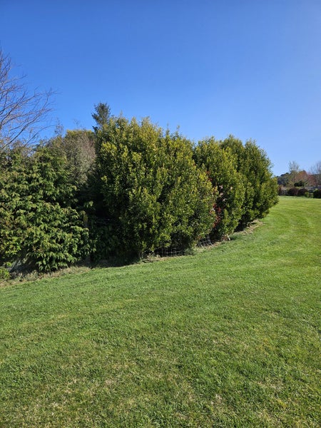 8 Lens Way, Acacia Bay, Taupo, Waikato - Carousel 6