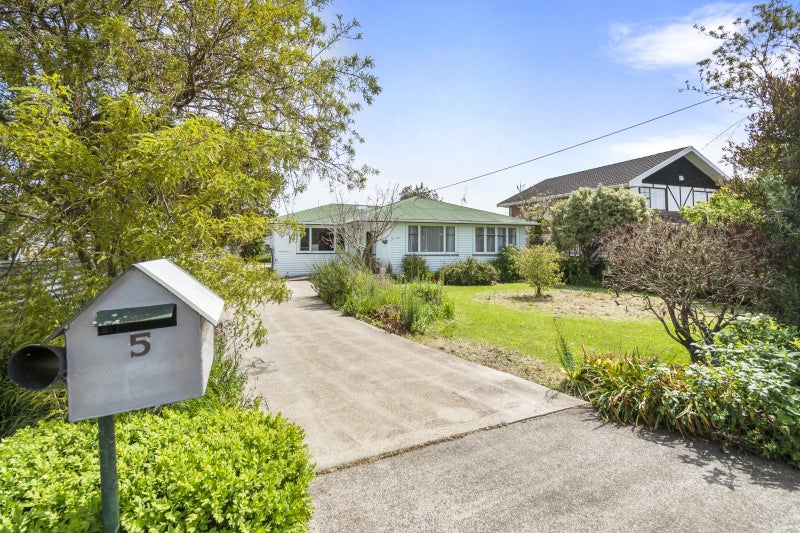 5 Hammond Street, Bulls, Bulls - Carousel 17