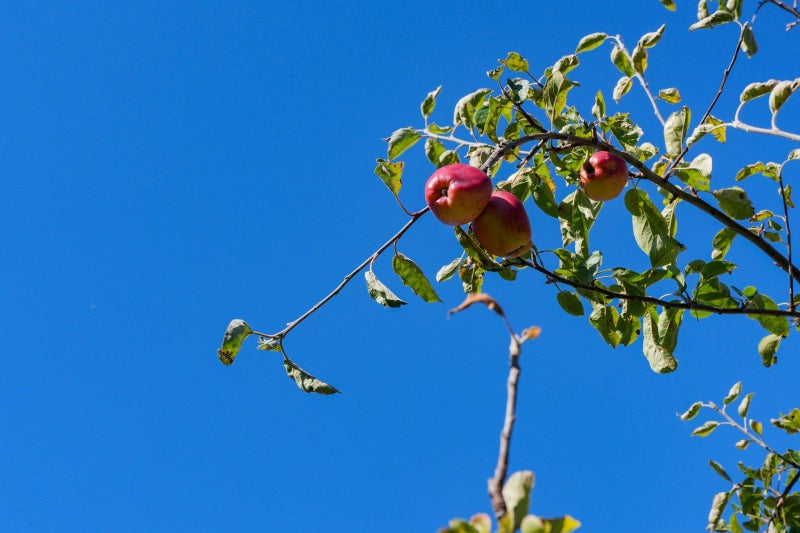 197 Mary Street, Richmond, Invercargill - Carousel 39