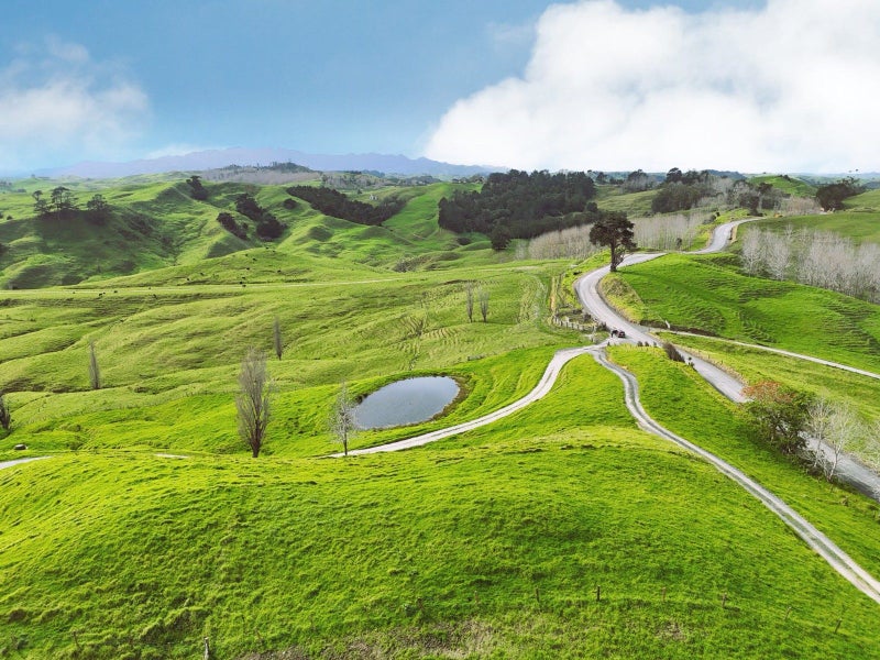 1858 Pukehuia Road, Arapohue, Dargaville - Carousel 8