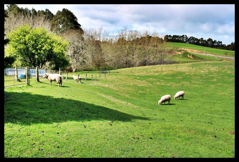 Property Valuation for 20 Old Port Road, Warepa Trade Me Property