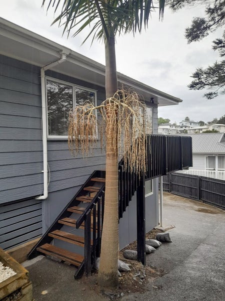 2/51 Fruitvale Road, New Lynn, Auckland - Carousel 1