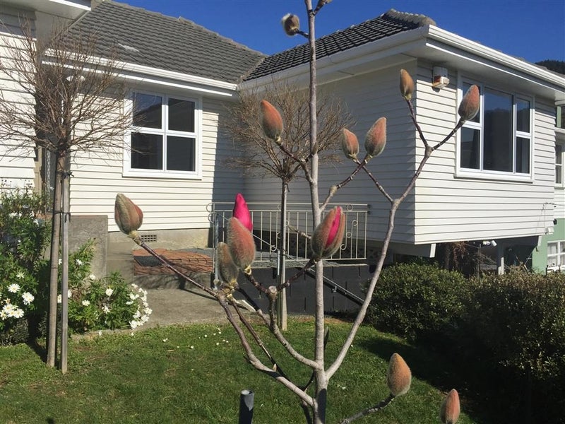 41 Larsen Crescent, Tawa, Wellington - Carousel 2