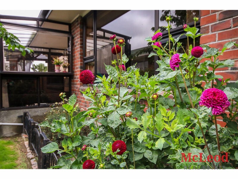 3 Rapley Street, Hampstead, Ashburton - Carousel 10