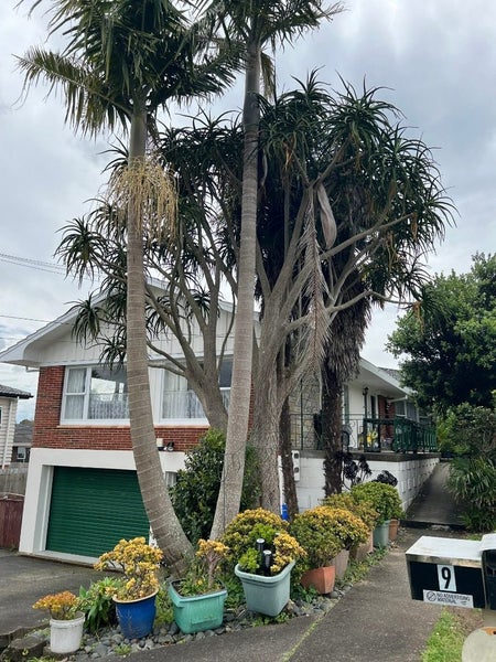 9 Lochinver Road, Papatoetoe, Auckland - Carousel 1