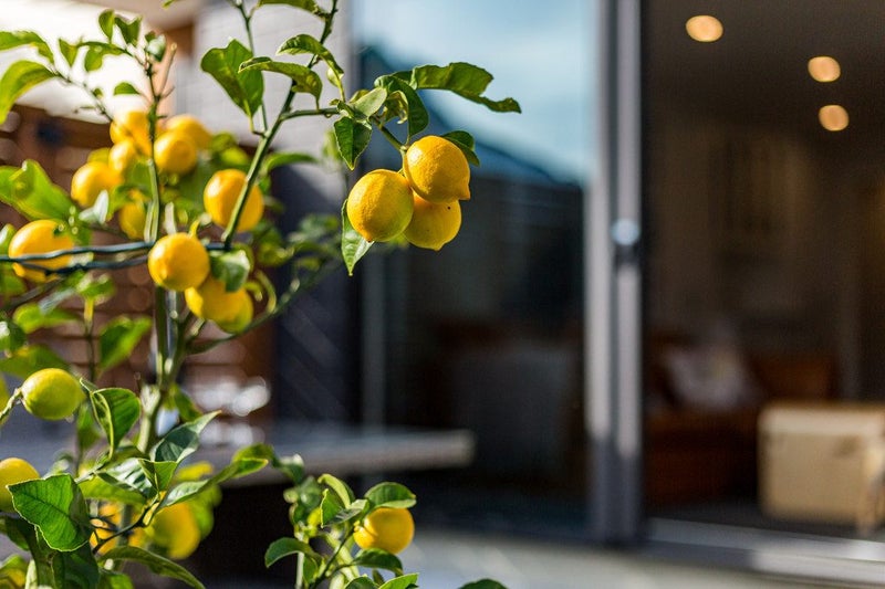 91D Whites Line East, Waiwhetū, Lower Hutt - Carousel 1