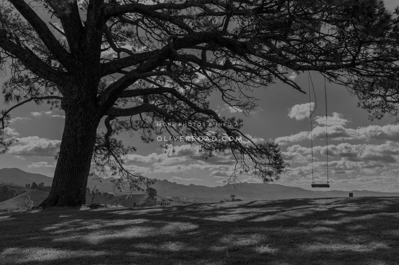 6A Hinckley Road, Aongatete, Katikati - Carousel 20