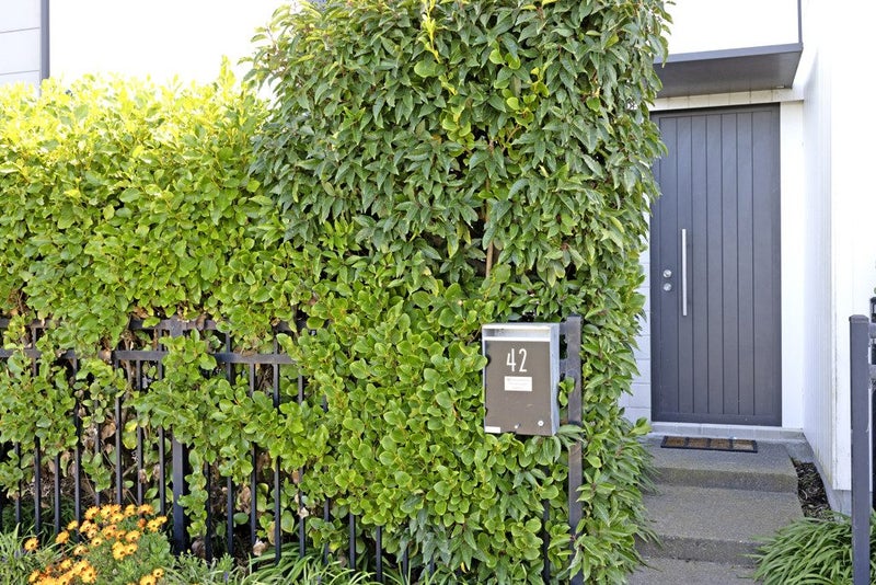 42 Tippet Crescent, Wigram, Christchurch - Carousel 2